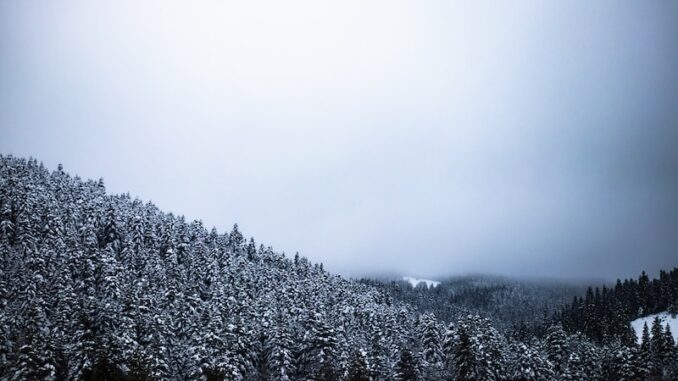 uploaded-image-bolu-tirede-is-dunyasinin-basari-hikayeleri-1697891737083