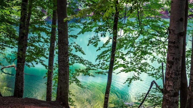 uploaded-image-bolu-tirede-is-dunyasinin-gelecegi-1697891728600