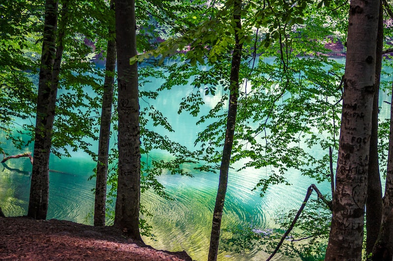 Bolu Tire'de İş Dünyasının Geleceği Bolu Tire'de İş Dünyasının Geleceği