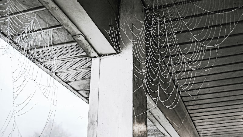 Bolu Tire'de Moda ve Tekstil Endüstrisi Bolu Tire'de Moda ve Tekstil Endüstrisi