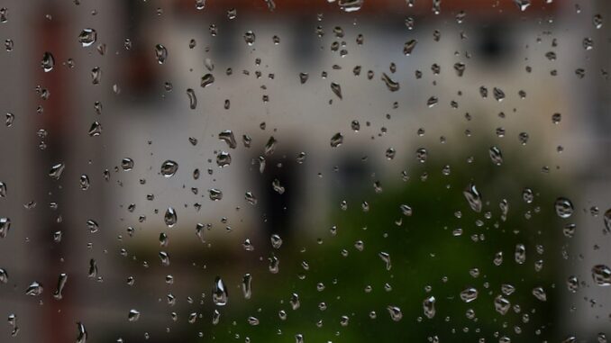 uploaded-image-doga-fotografciligi-ve-kesif-1697891846278